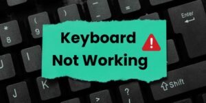 How to Fix the Keyboard not Working in Windows 10/11