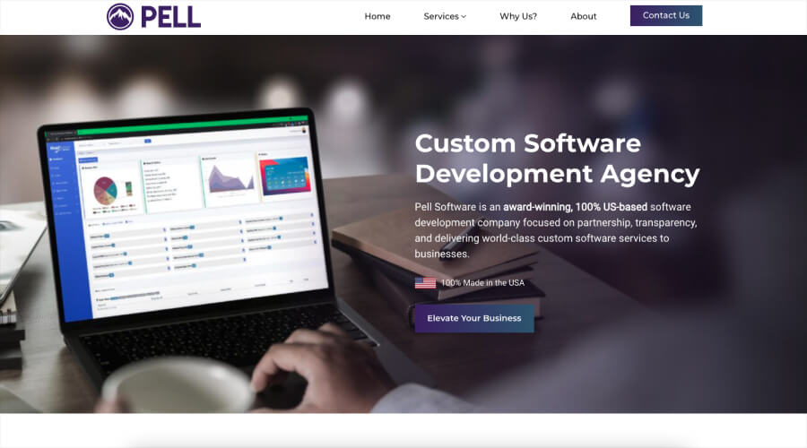 Pell Software - Best ASP.NET Development Company