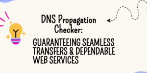 DNS Propagation Checker Guaranteeing Seamless Transfers & Dependable Web Services