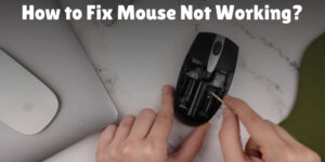 How to Fix Mouse Not Working Error