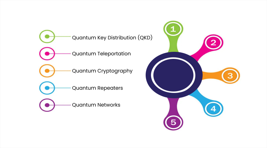 Quantum Communication Networks - Quantum Network