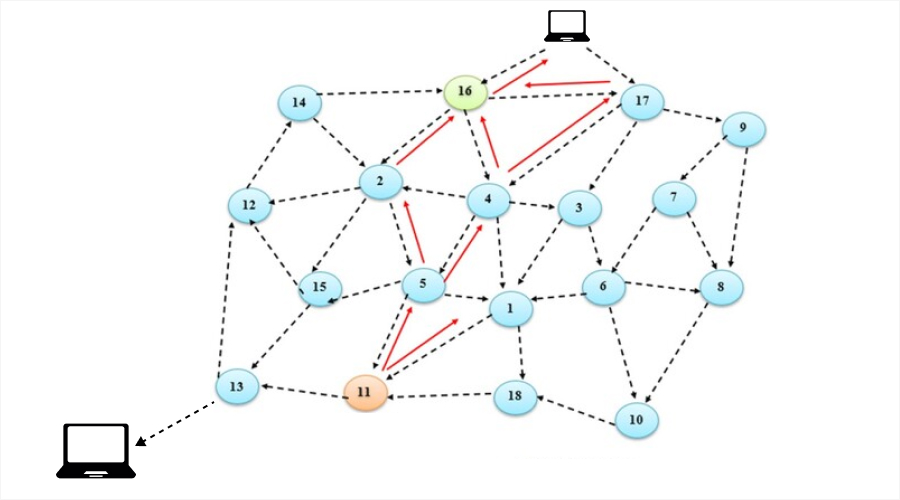 Quantum Networks Augment Classical Networks - Type of Quantum Network