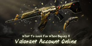 What To Look For When Buying A Valorant Account Online