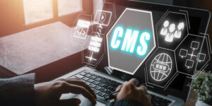 5 Must-Know Facts About Choosing the Right CMS for Your Website